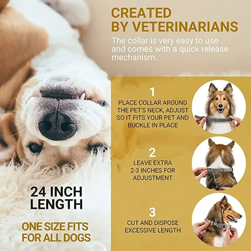 🐾 Collar Antipulgas y Garrapatas para Mascotas