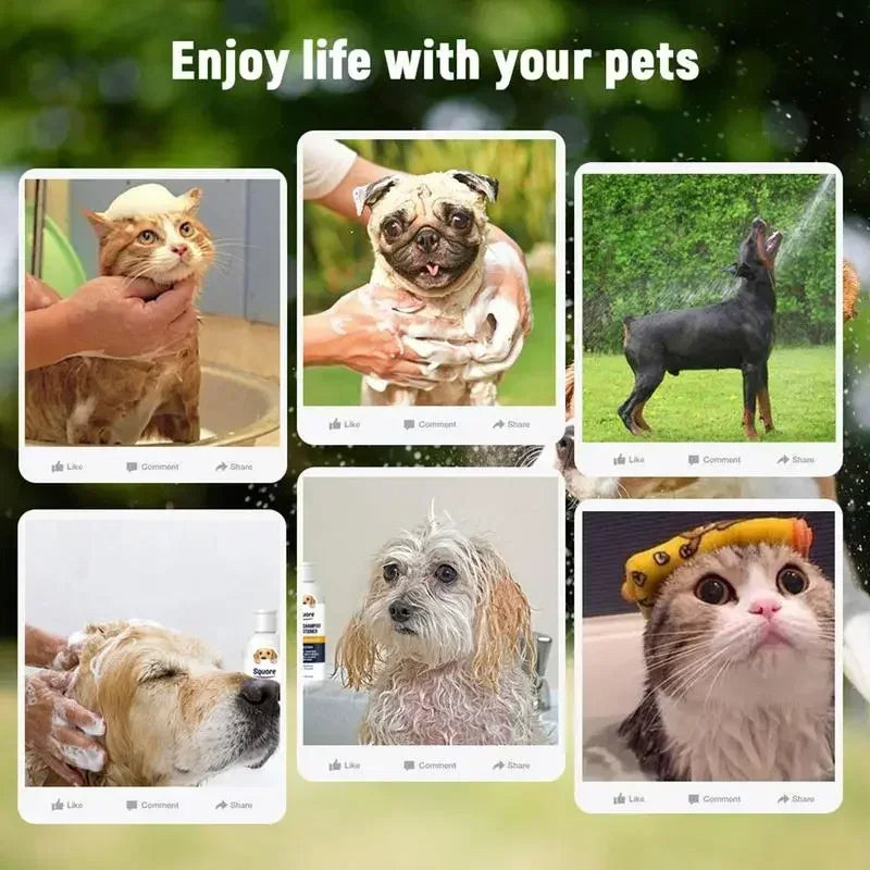 🐶✨ Shampoo & Acondicionador 2 en 1 – Todo en Uno para tu Mascota 🐾🌿